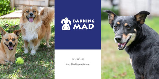 Barking Mad