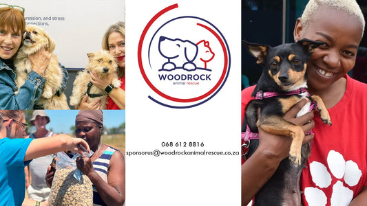 Woodrock Animal Rescue